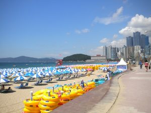 guesschoi / Pixabay