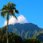 【アナザースカイBGM】長嶋一茂・ハワイ／2025年11月15日放送