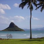 「イロハワイ〜ハワイの色を巡る旅〜」オワフ島紹介スポット2018年10月29日放送