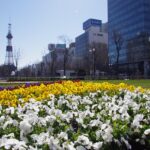 【アナザースカイBGM】原菜乃華・北海道/2025年11月29日放送